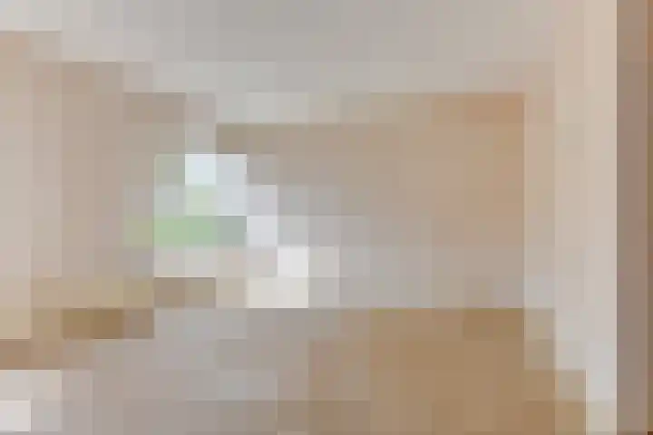 Bakkerstraat 91 Alkmaar thumbnail 5