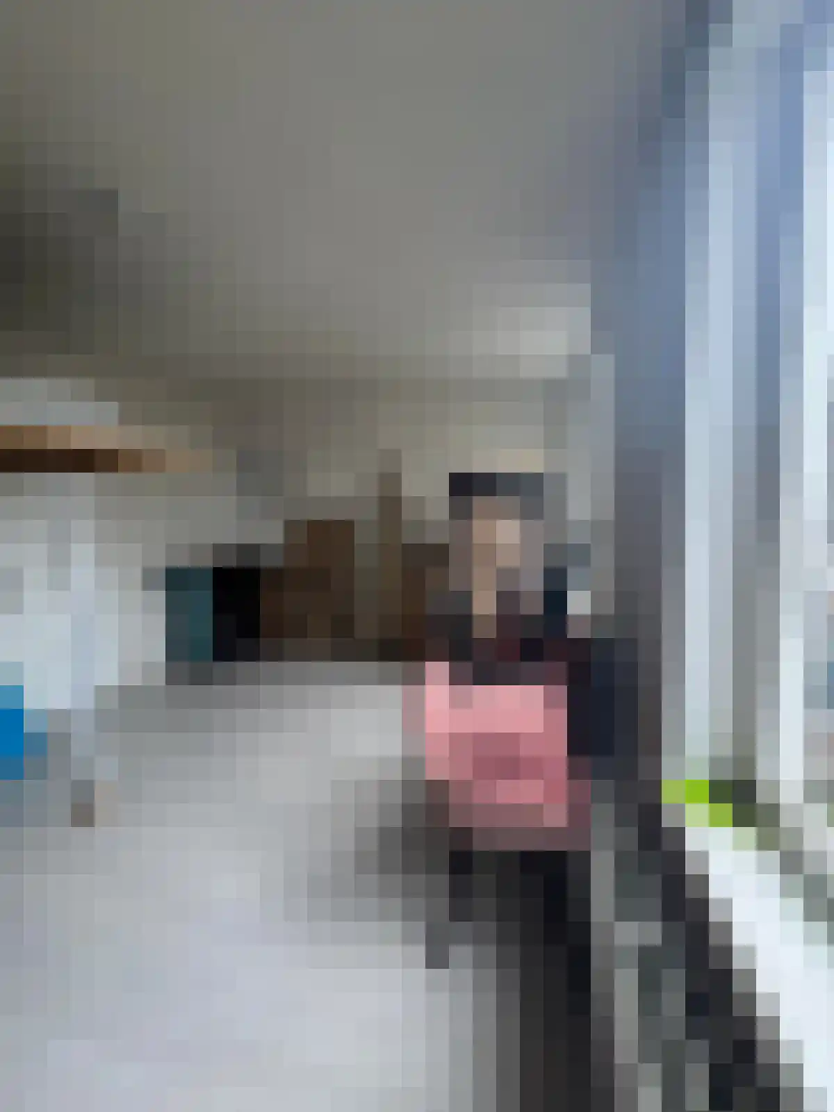 Bakkerstraat Haarlem thumbnail 4