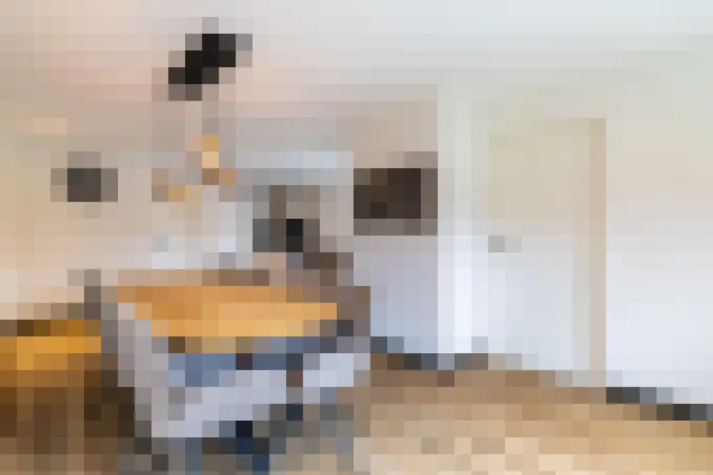 Bakkersveenweg 14 Westerhaar-Vriezenveensewijk thumbnail 12