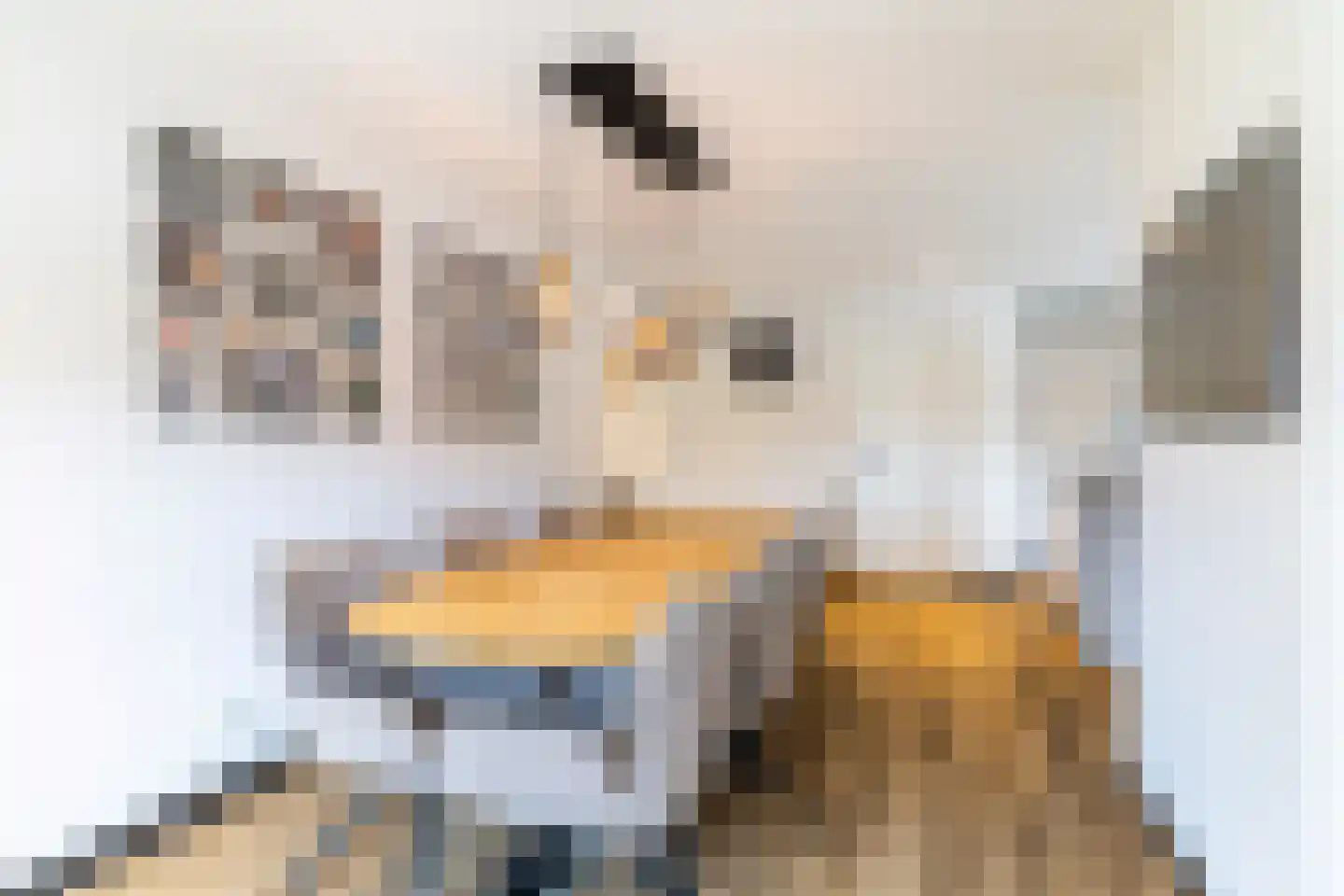 Bakkersveenweg 14 Westerhaar-Vriezenveensewijk thumbnail 13