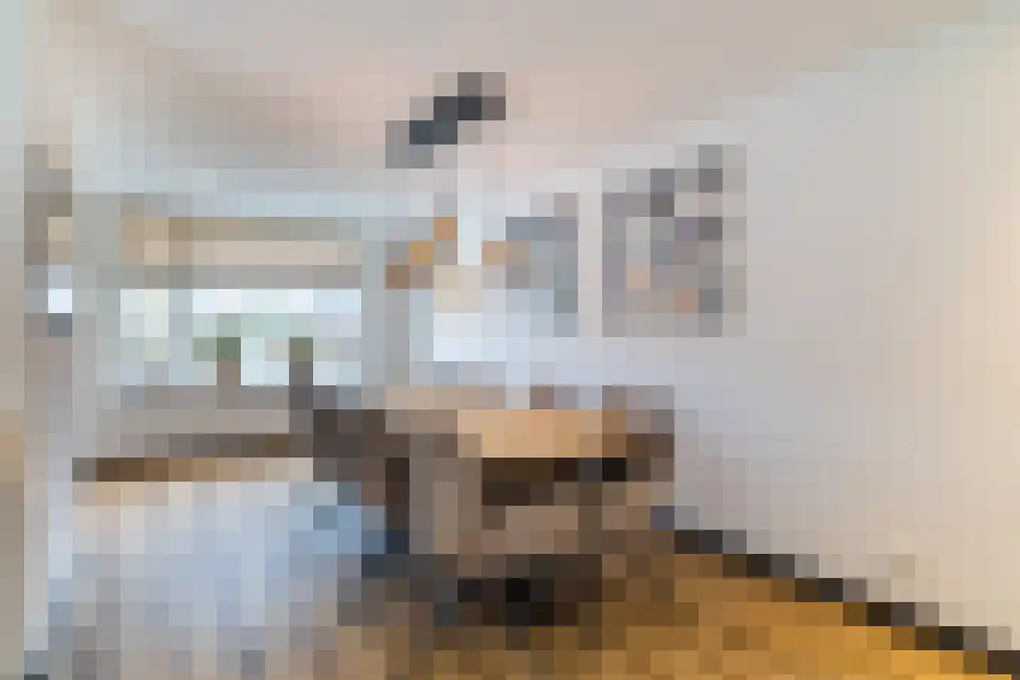 Bakkersveenweg 14 Westerhaar-Vriezenveensewijk thumbnail 14