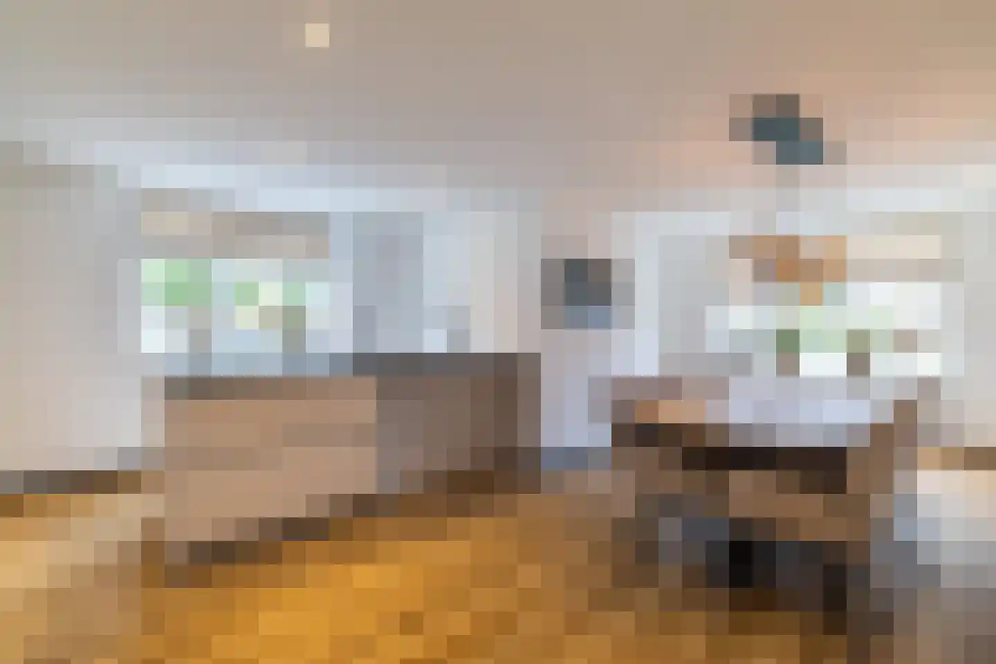 Bakkersveenweg 14 Westerhaar-Vriezenveensewijk thumbnail 15