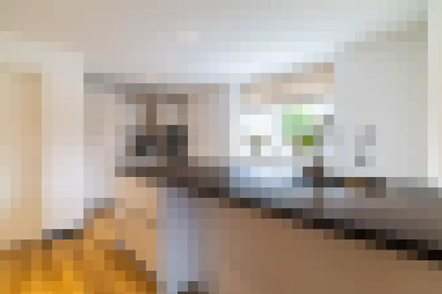 Bakkersveenweg 14 Westerhaar-Vriezenveensewijk thumbnail 18