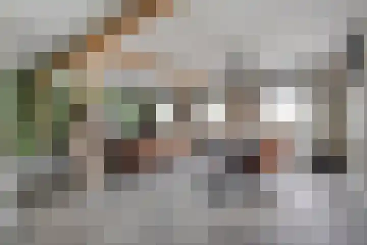 Bakkersveenweg 20 Westerhaar-Vriezenveensewijk thumbnail 14