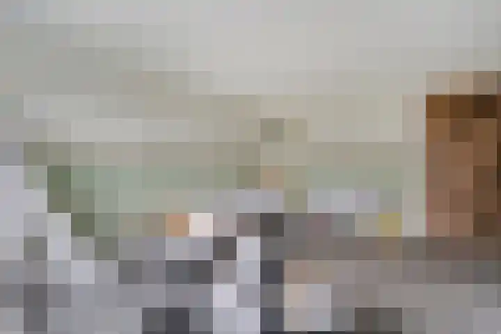 Bakkersveenweg 20 Westerhaar-Vriezenveensewijk thumbnail 26