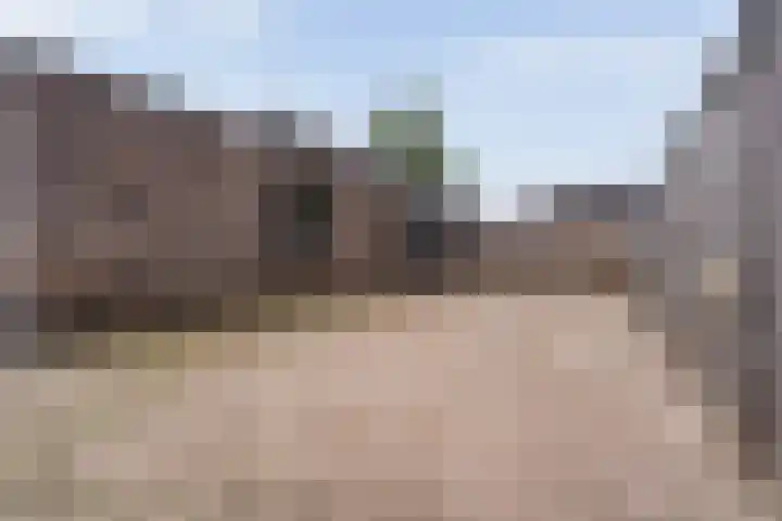 Bakkersveenweg 20 Westerhaar-Vriezenveensewijk thumbnail 33