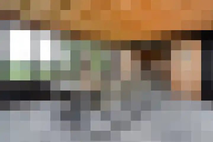 Bakkersveenweg 20 Westerhaar-Vriezenveensewijk thumbnail 37