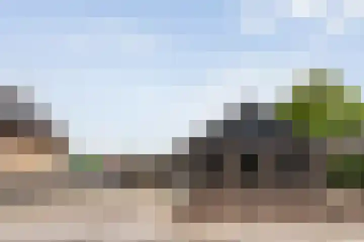 Bakkersveenweg 20 Westerhaar-Vriezenveensewijk thumbnail 4