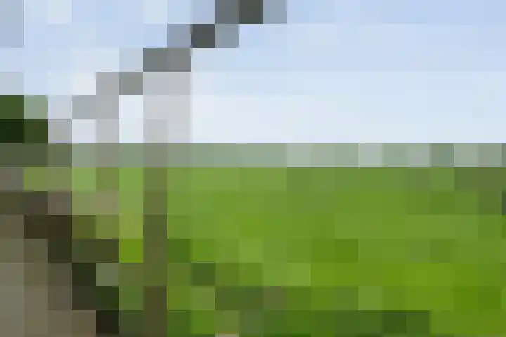 Bakkersveenweg 20 Westerhaar-Vriezenveensewijk thumbnail 41