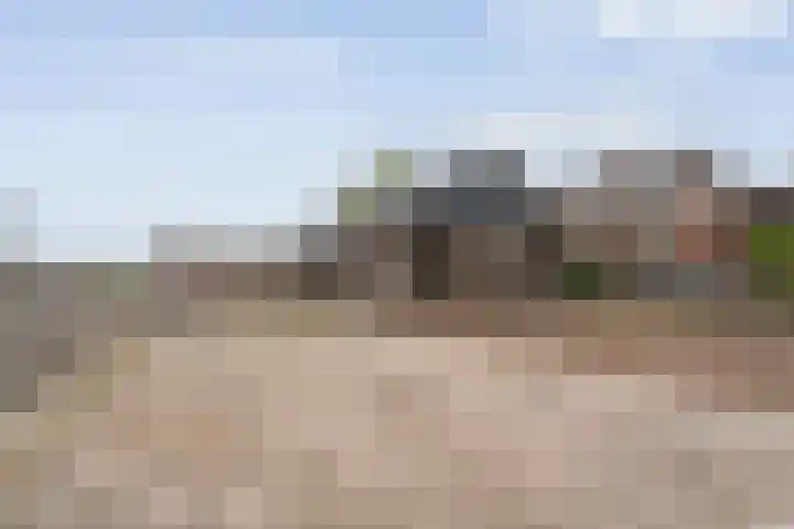 Bakkersveenweg 20 Westerhaar-Vriezenveensewijk thumbnail 5