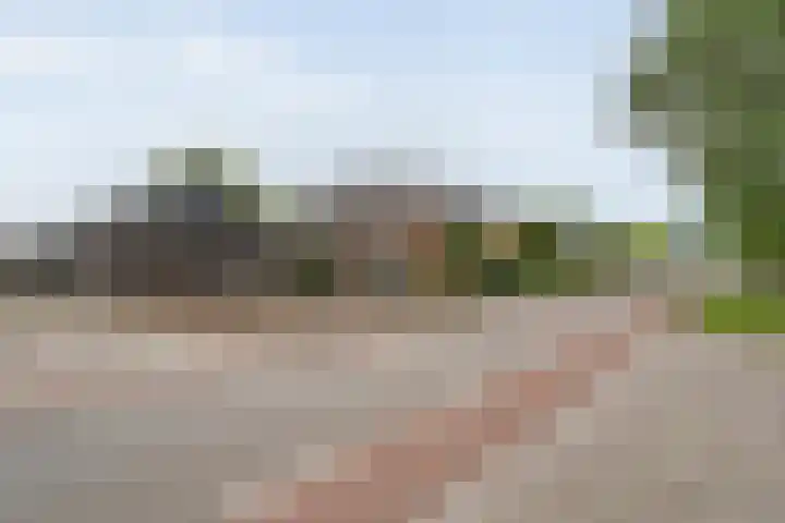 Bakkersveenweg 20 Westerhaar-Vriezenveensewijk thumbnail 6