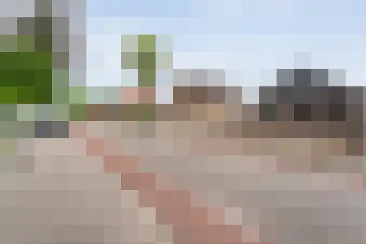 Bakkersveenweg 20 Westerhaar-Vriezenveensewijk thumbnail 7