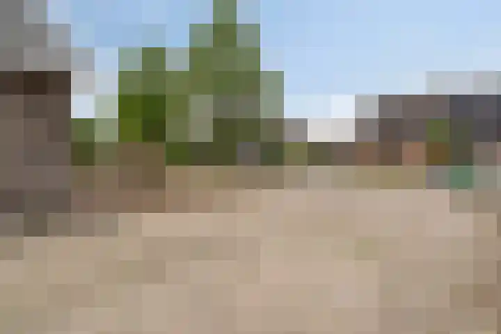Bakkersveenweg 20 Westerhaar-Vriezenveensewijk thumbnail 8