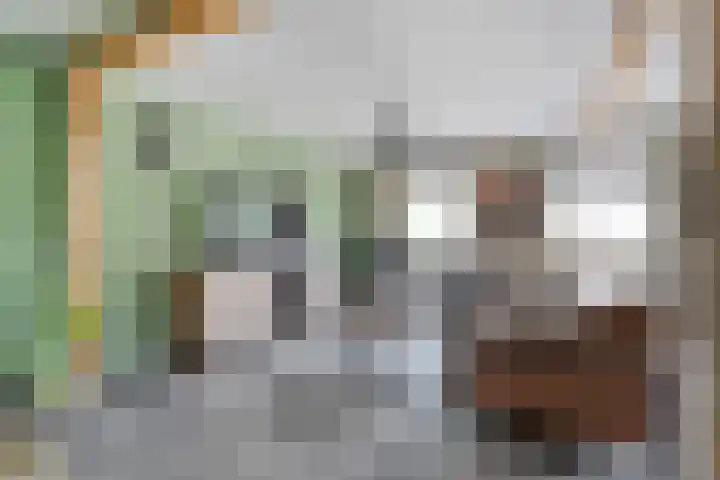 Bakkersveenweg 20 Westerhaar-Vriezenveensewijk thumbnail 9