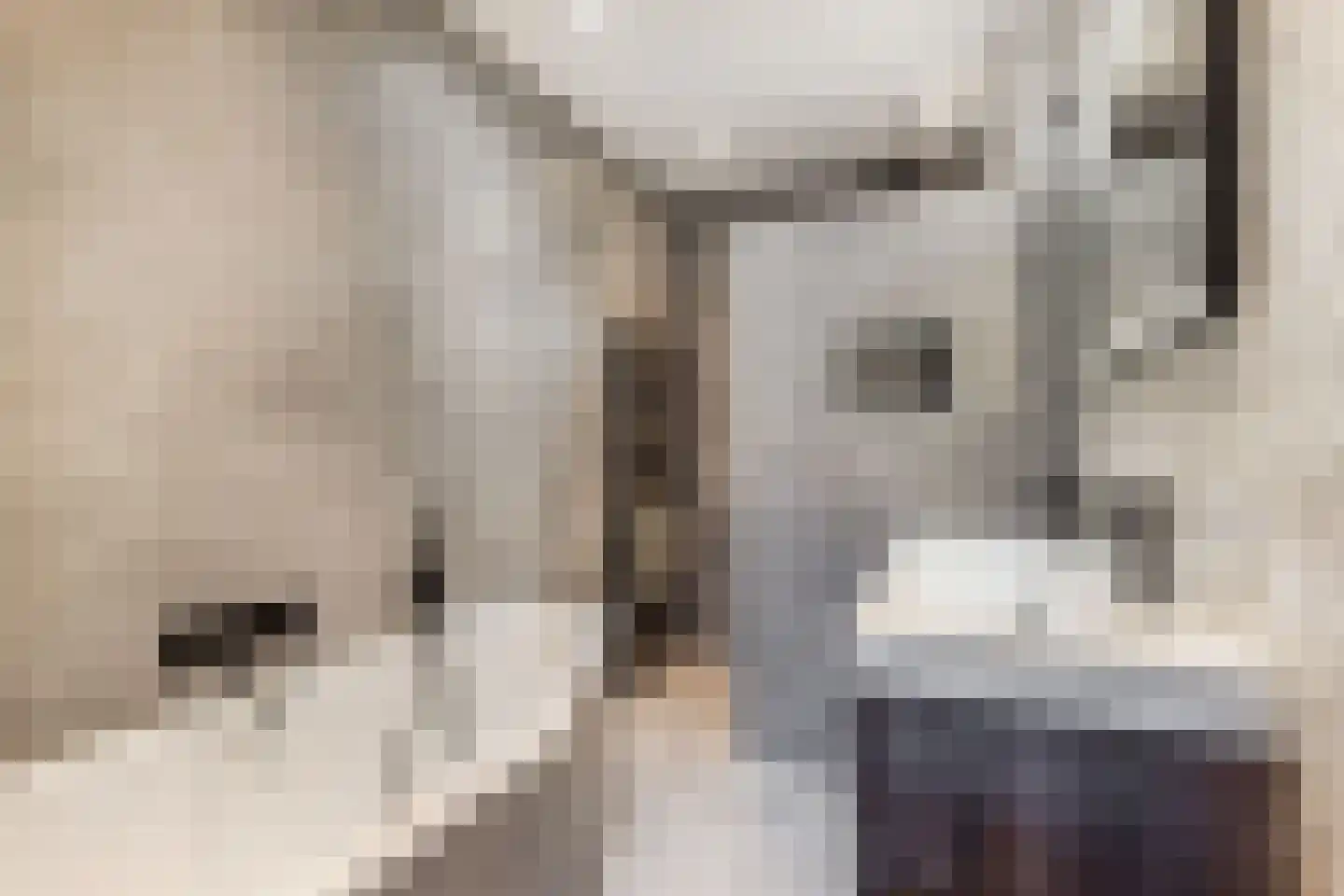 Bakkersveld 12 Tuk thumbnail 19