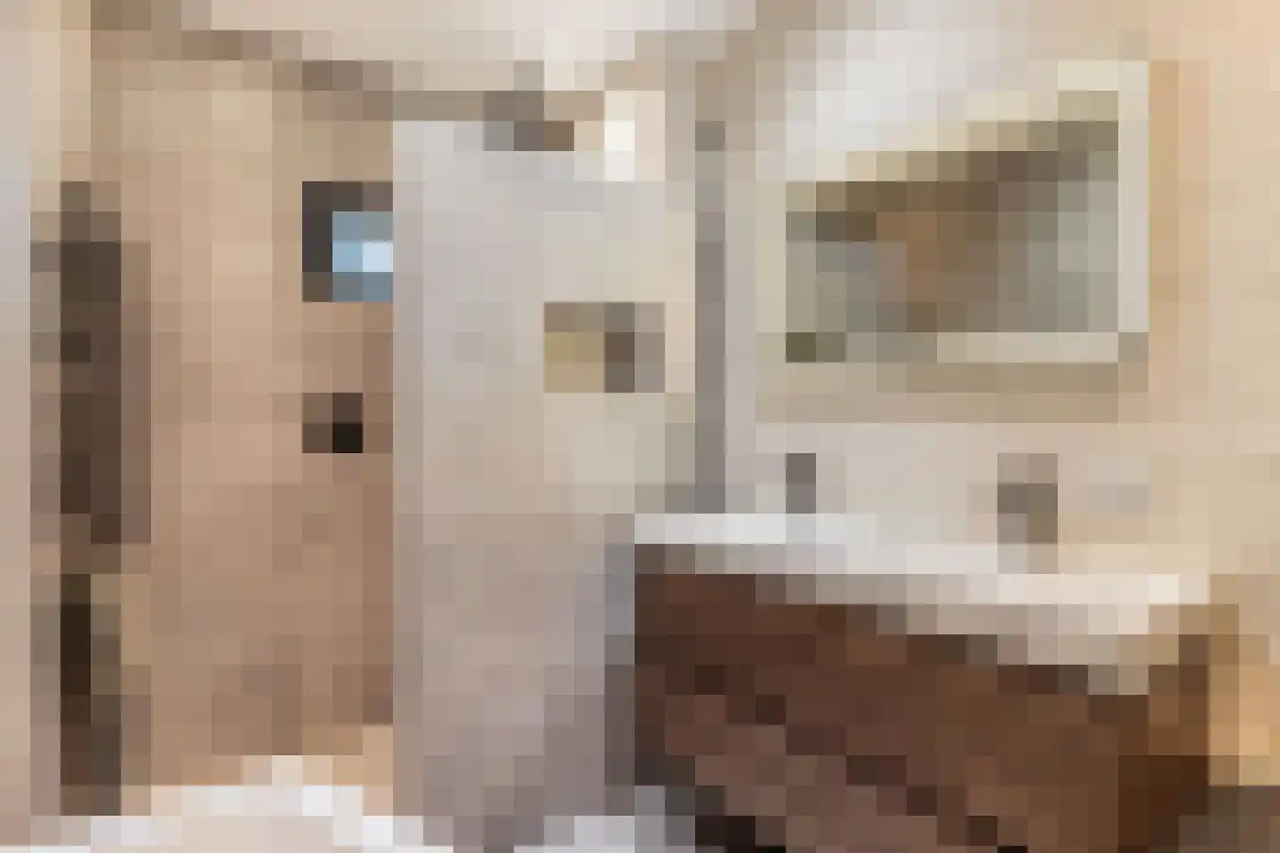 Bakkersveld 12 Tuk thumbnail 20