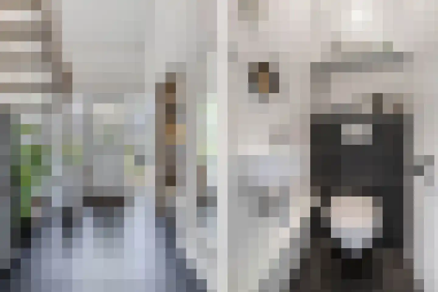 Bakkersveld 12 Tuk thumbnail 5