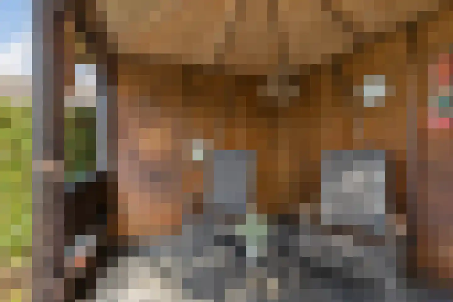 Bakkersveld 63 Tuk thumbnail 38