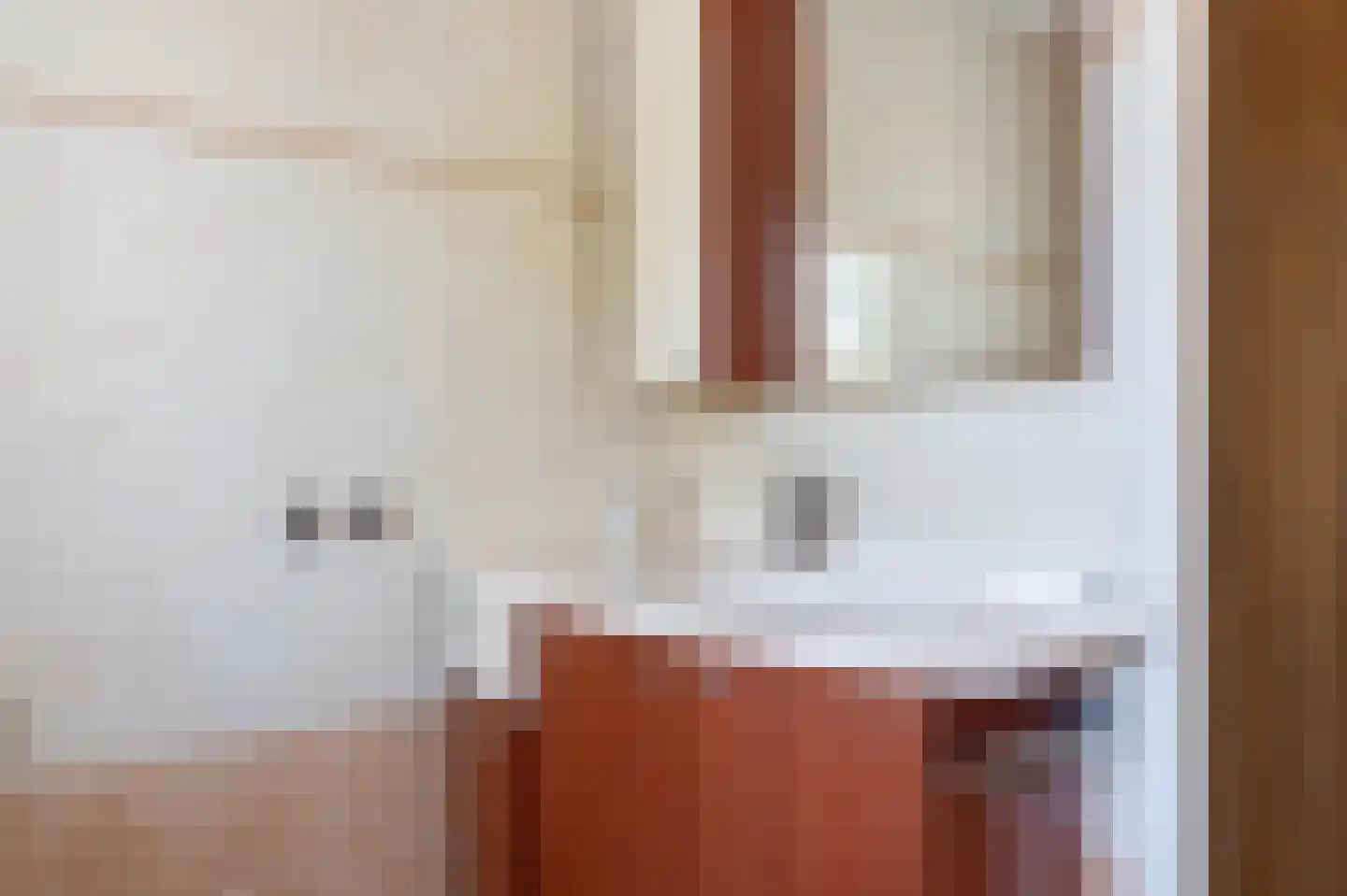 Bakkersveld 65 Tuk thumbnail 32