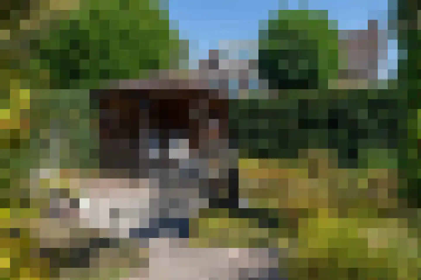 Bakkersveld 65 Tuk thumbnail 40