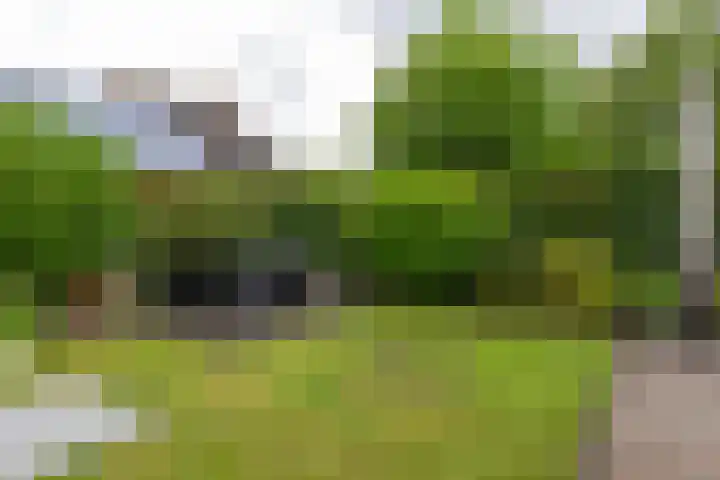 Bakkersveld 8 Tuk thumbnail 45