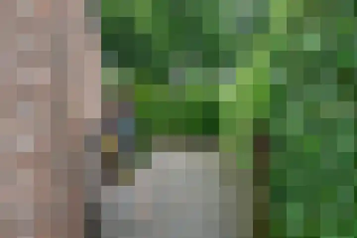 Bakkersveld 8 Tuk thumbnail 48