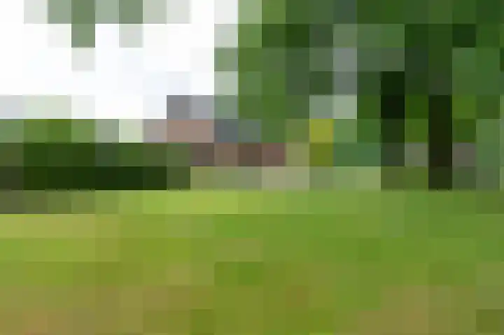 Bakkersveld 8 Tuk thumbnail 53