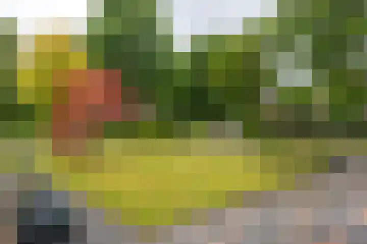 Bakkersveld 8 Tuk thumbnail 56