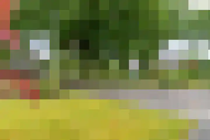 Bakkersveld 8 Tuk thumbnail 57