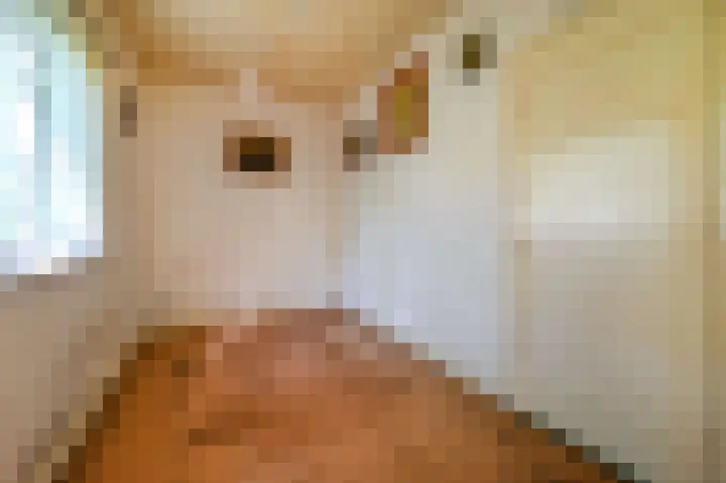 Bakkersweg 102 Voorthuizen thumbnail 11