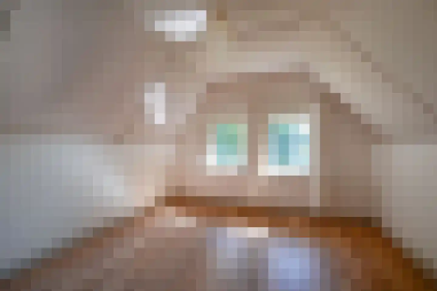 Bakkersweg 102 Voorthuizen thumbnail 17