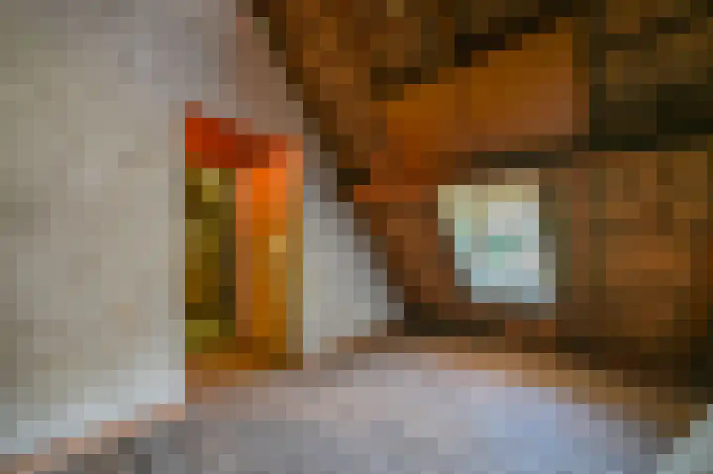 Bakkersweg 102 Voorthuizen thumbnail 19