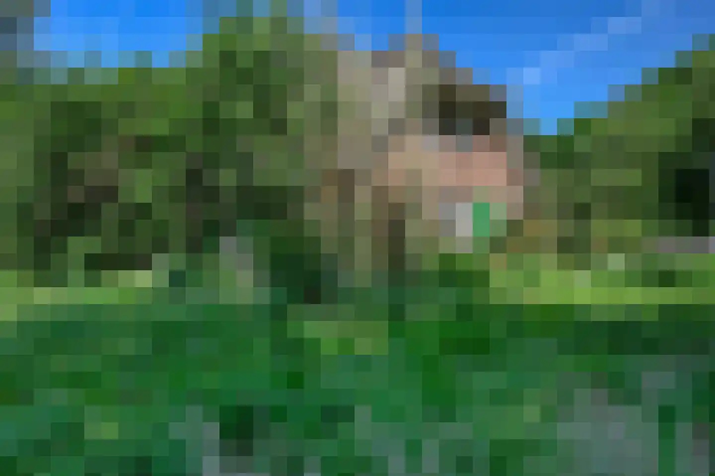 Bakkersweg 102 Voorthuizen thumbnail 20