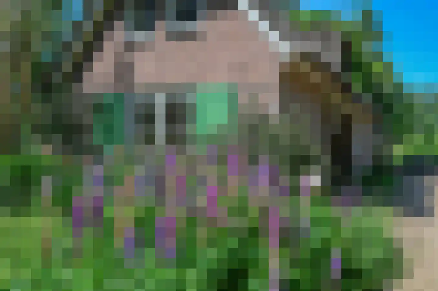 Bakkersweg 102 Voorthuizen thumbnail 21