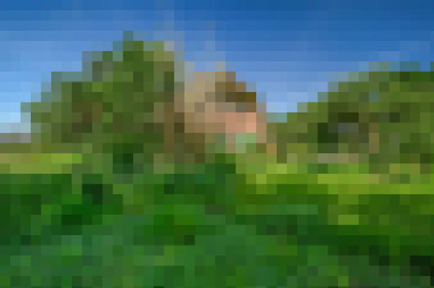 Bakkersweg 102 Voorthuizen thumbnail 4