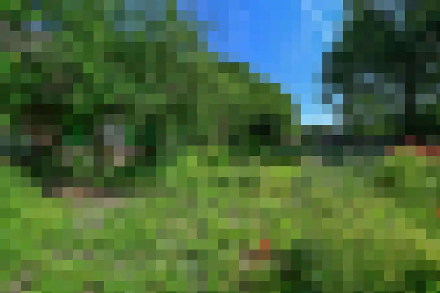 Bakkersweg 102 Voorthuizen thumbnail 5