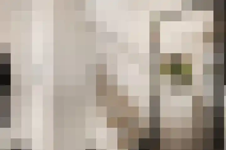 Bakkersweg 12 Heiloo thumbnail 31