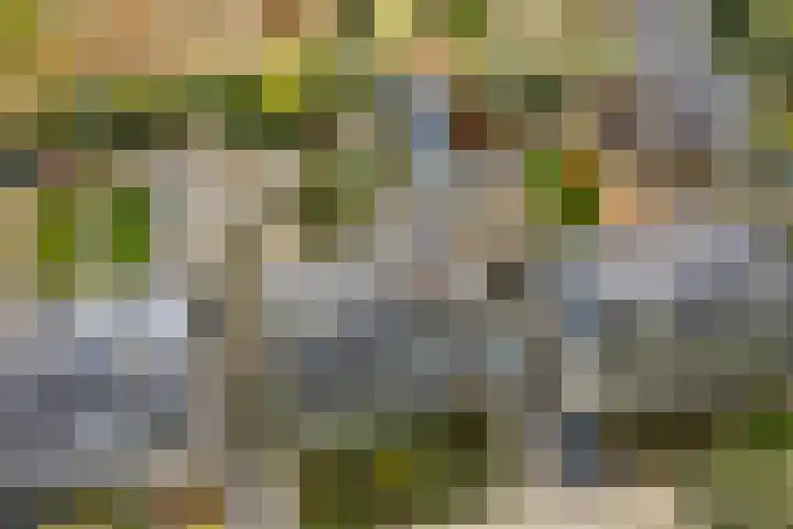 Bakkersweg 12 Heiloo thumbnail 52