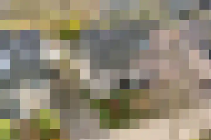 Bakkersweg 12 Heiloo thumbnail 53