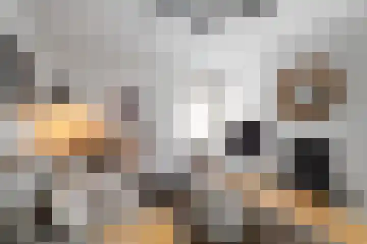 Bakkersweg 16 Heiloo thumbnail 10
