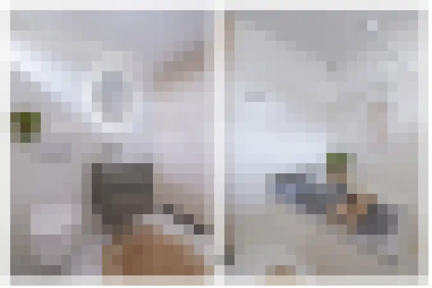 Bakkersweg 3 Maarn thumbnail 26
