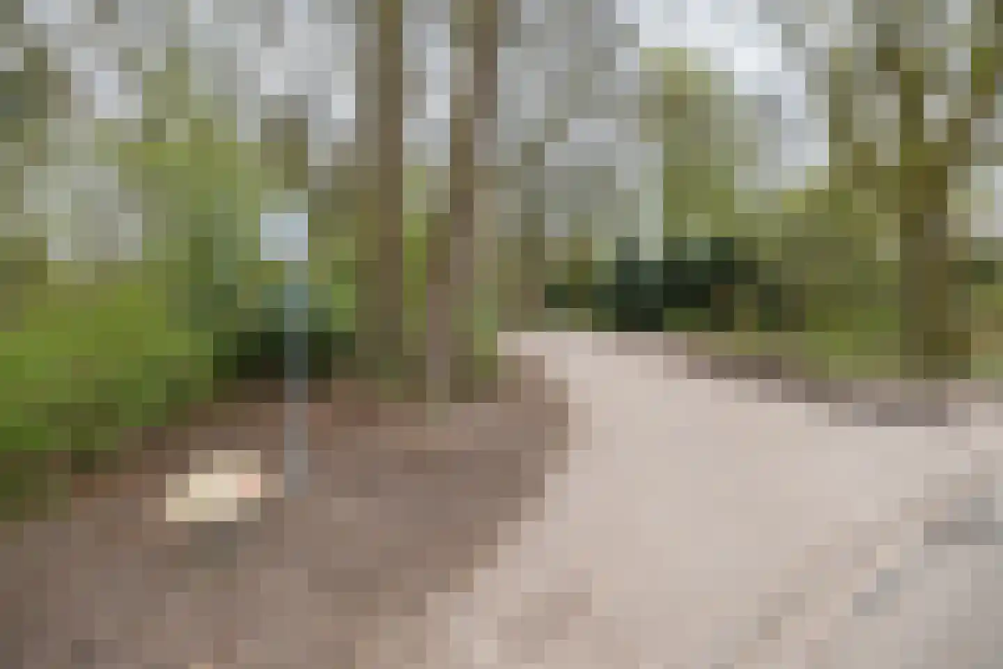 Bakkersweg 3 Maarn thumbnail 47