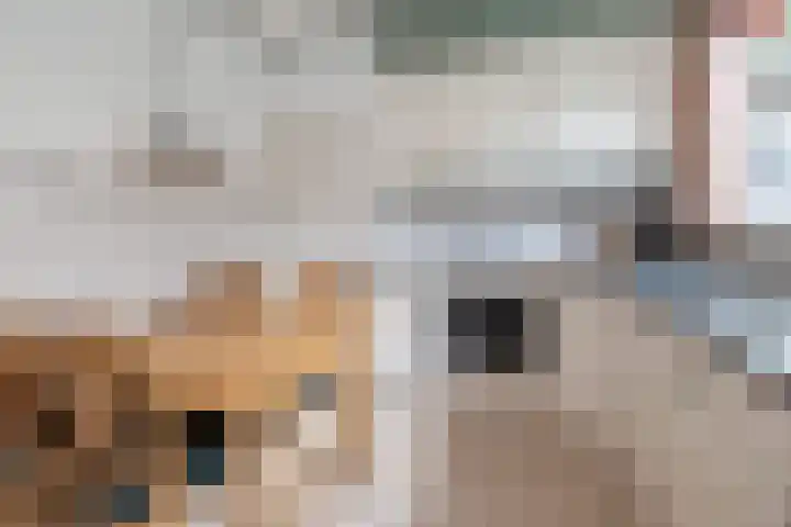 Bakkersweg 30 Maarn thumbnail 11