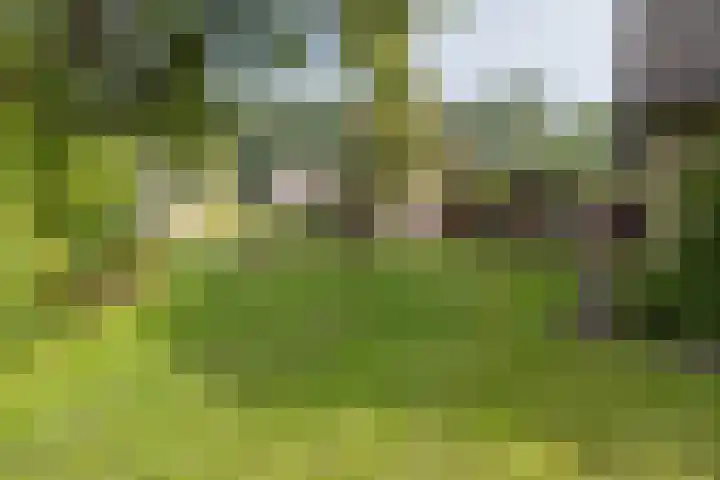 Bakkersweg 30 Maarn thumbnail 34