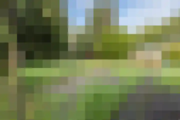 Bakkersweg 30 Maarn thumbnail 39