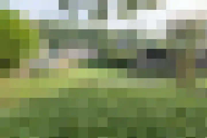 Bakkersweg 30 Maarn thumbnail 40