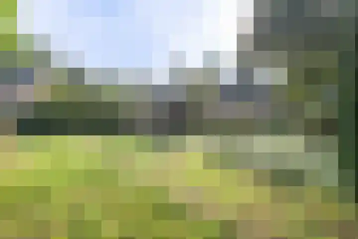 Bakkersweg 30 Maarn thumbnail 44