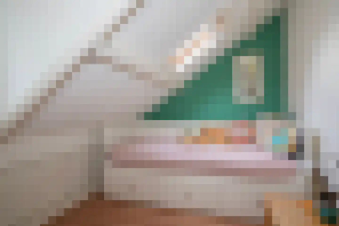 Bakkersweg 32 a Maarn thumbnail 28