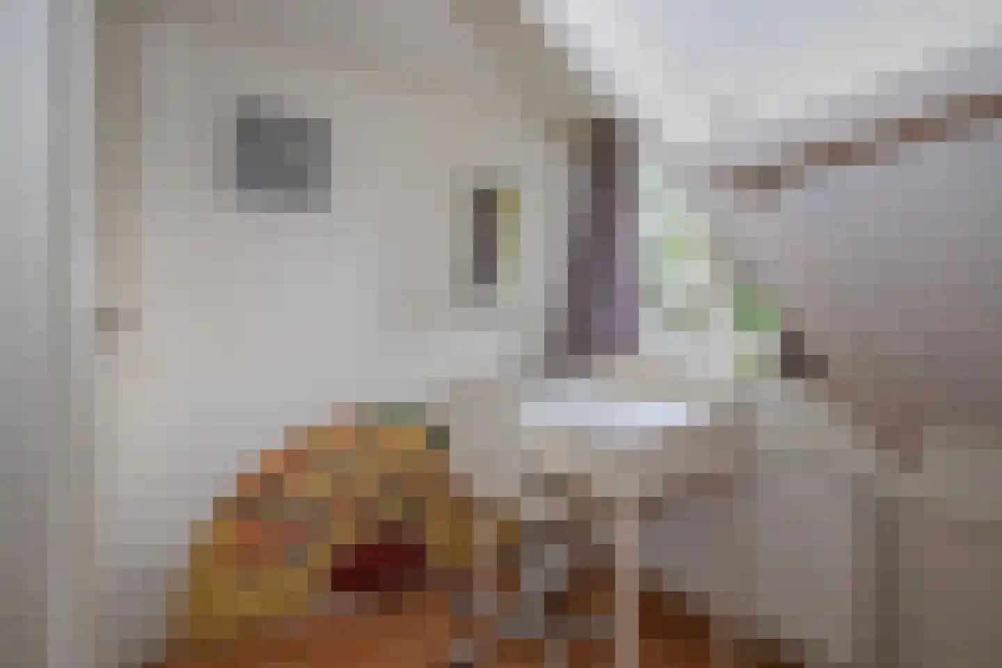 Bakkersweg 32 a Maarn thumbnail 29