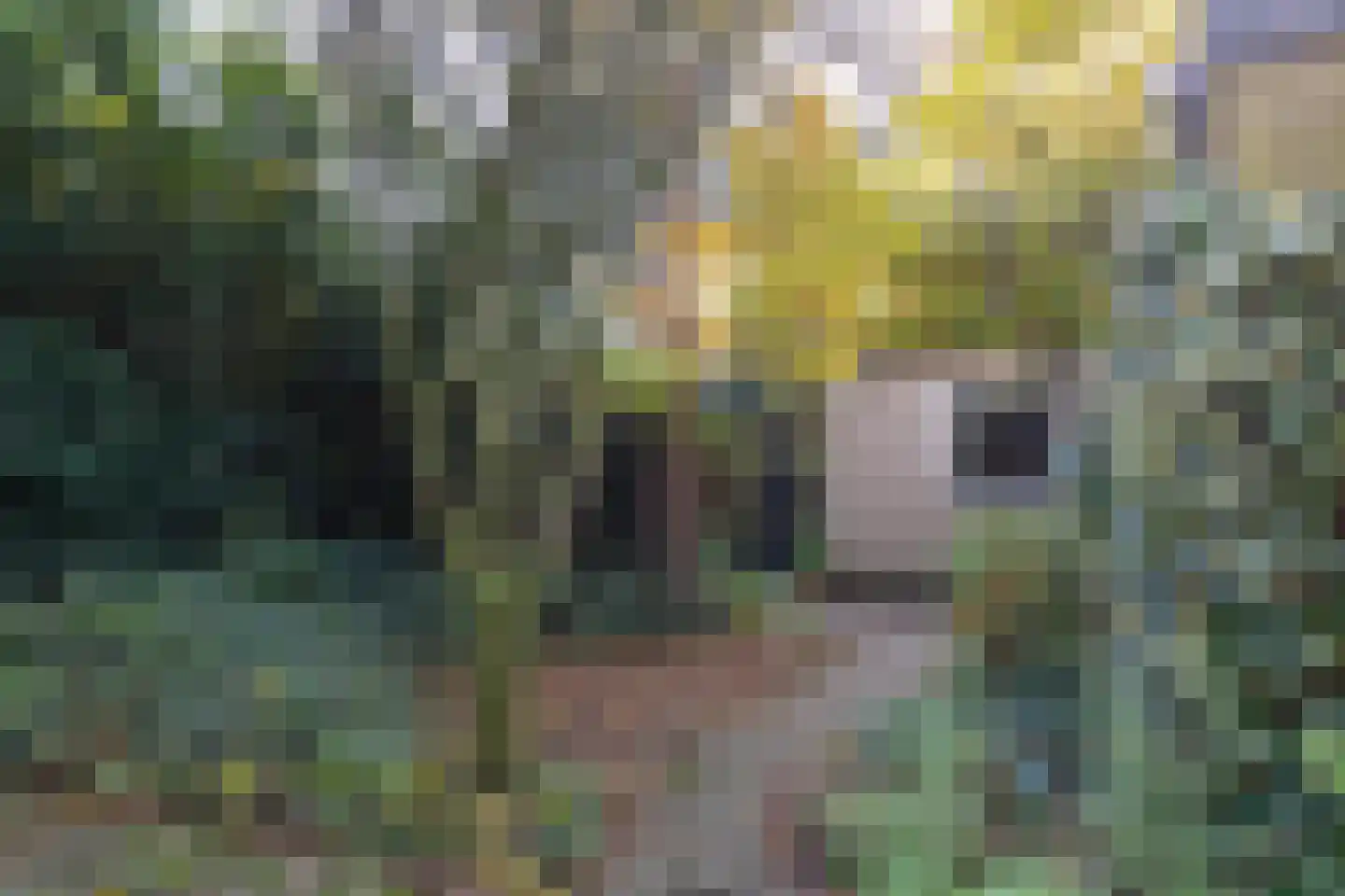 Bakkersweg 32 a Maarn thumbnail 39